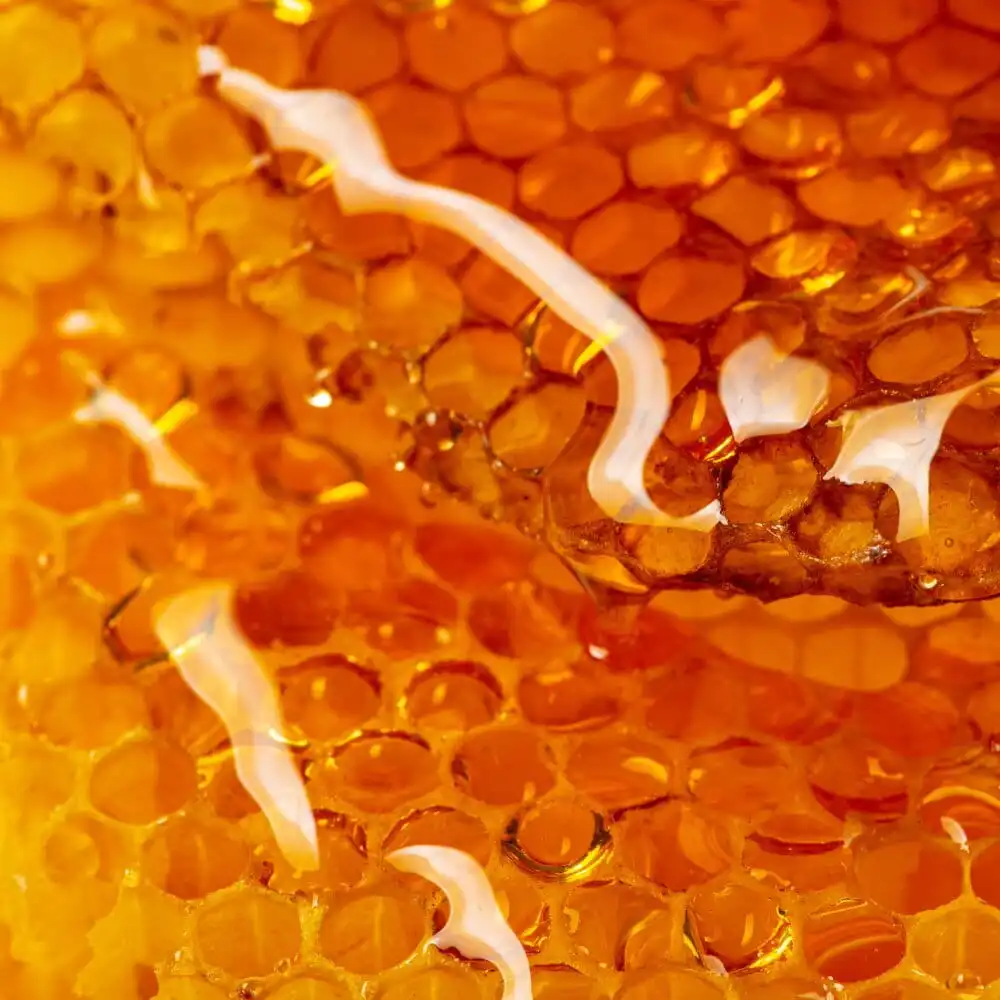 Alkham Honey